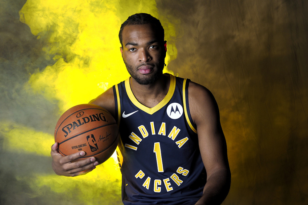 许多宠物主 许多宠物主