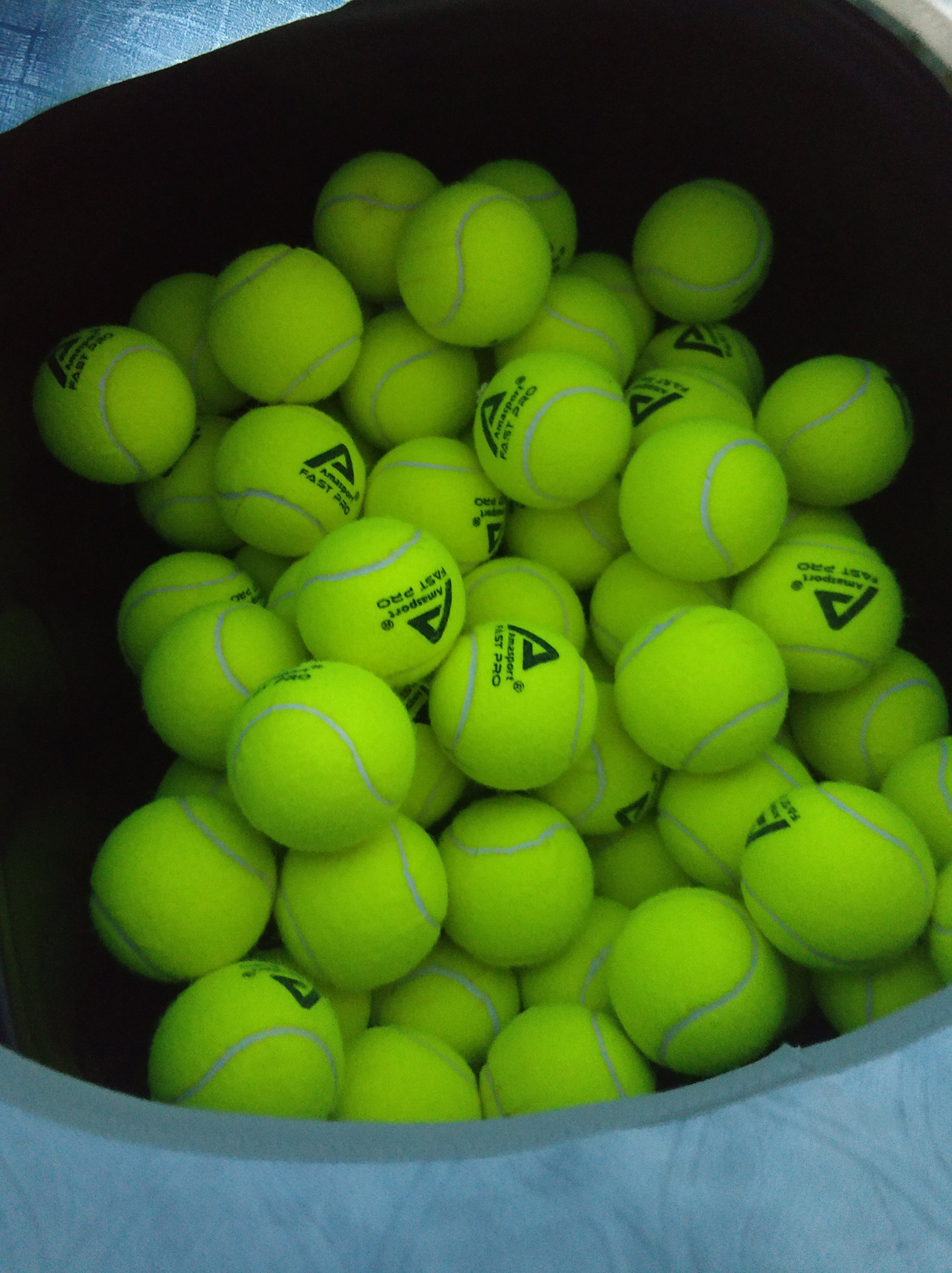 状元与榜眼 状元与榜眼