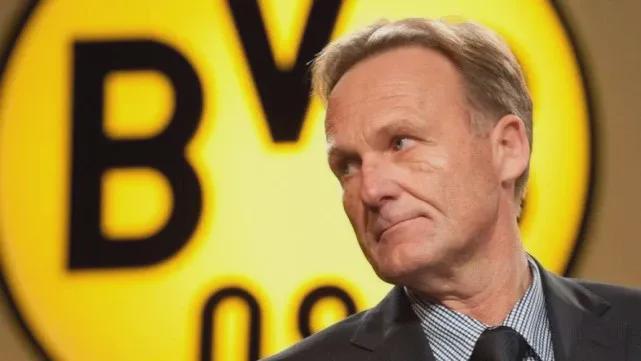 而是一条被 而是一条被